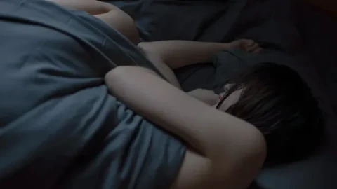 无广告预告片在线观看门户